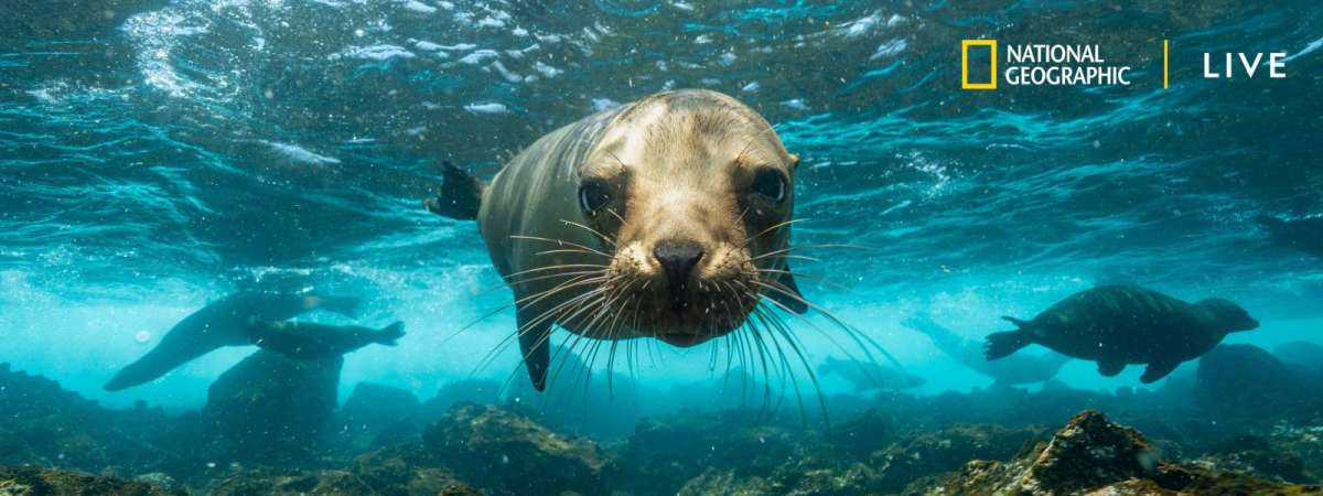 Nat Geo Live: Discovering the Galapagos