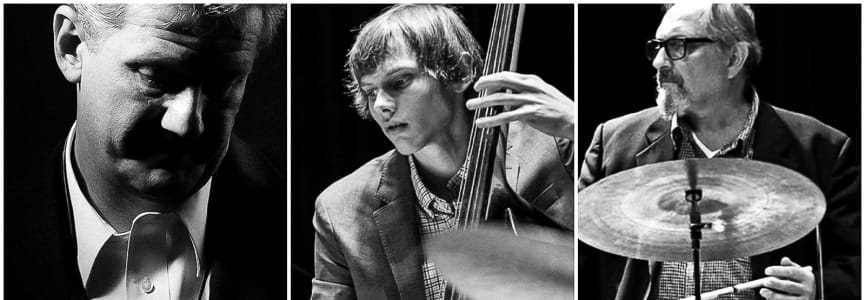 Don Aliquo Trio w/ Jacob Jezioro & Tony Martucci