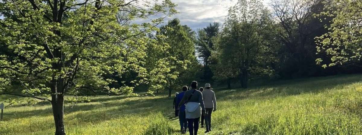 Wellness Walks