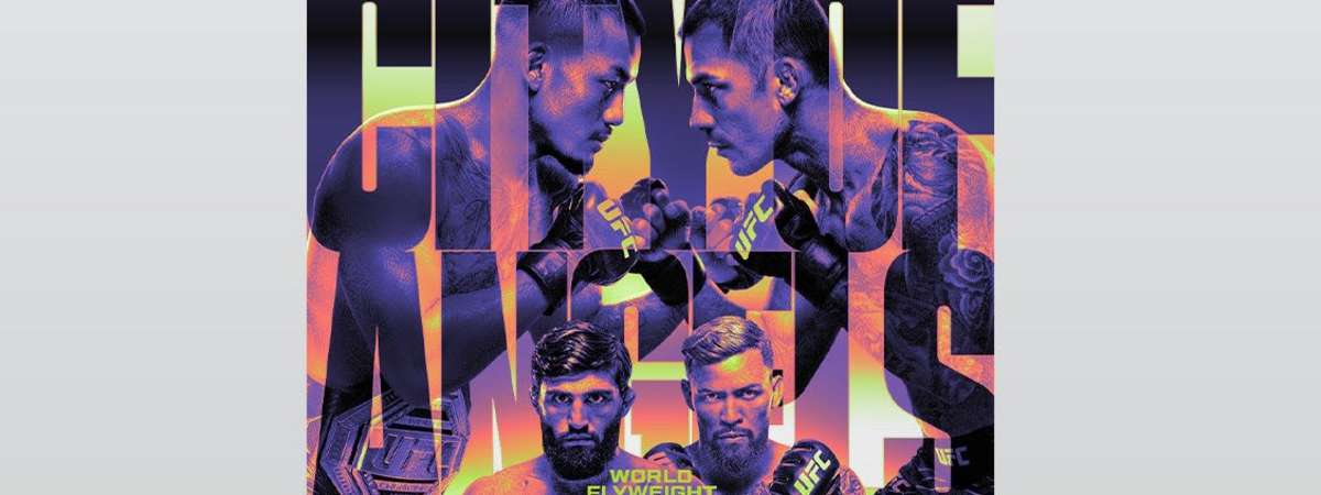 Ufc 331