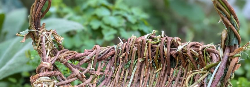 Invasive Baskets