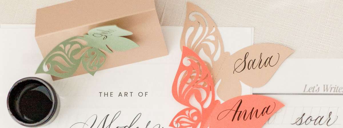 ​​Butterflies and Calligraphy