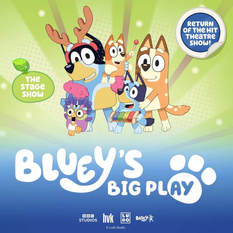 Bluey's Big Play