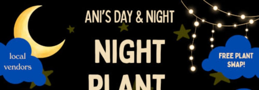 Night Plant Market