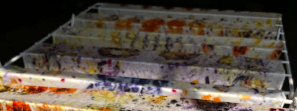 Eco-Print Workshop