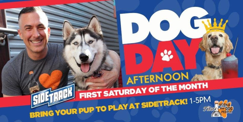 Dog Day Saturday Afternoon