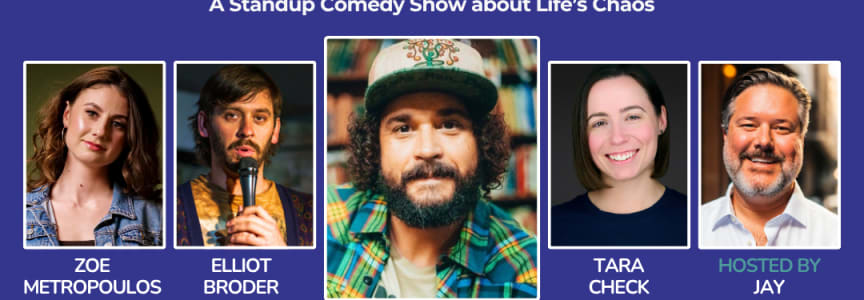 "We're All Doing Great" And Other Lies - A Comedy Show about Life's Chaos