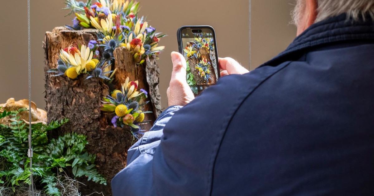 iPhone Photography | Advanced Features
