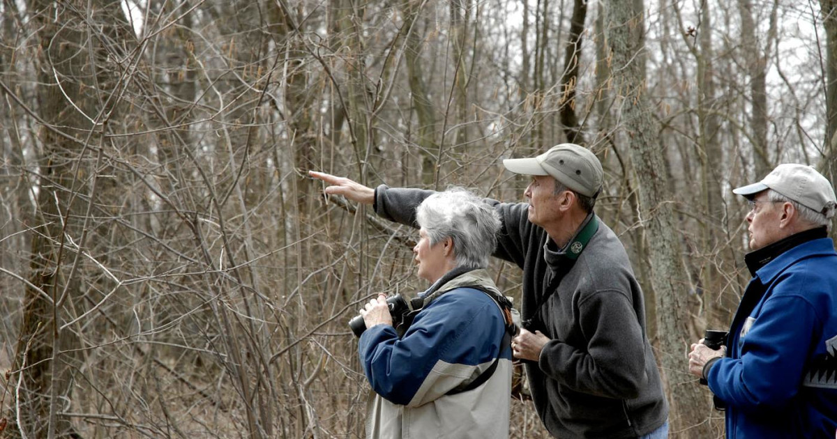 Bird Walk Fall Migration