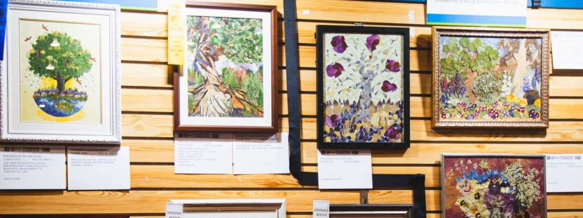 Pressed Plant Workshop – Learning the Art of Pressed Plants