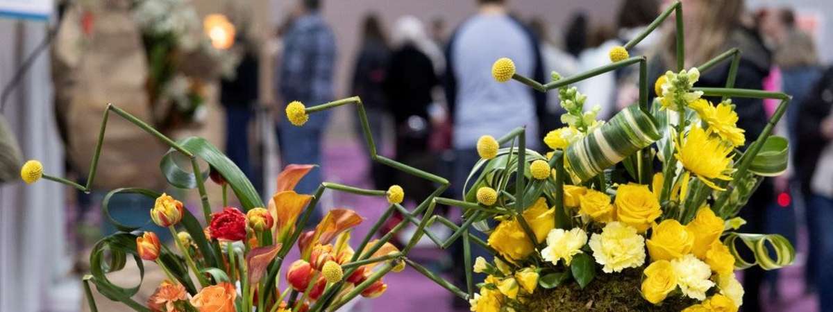 Arrangement Program: DESIGN WITH CONFIDENCE