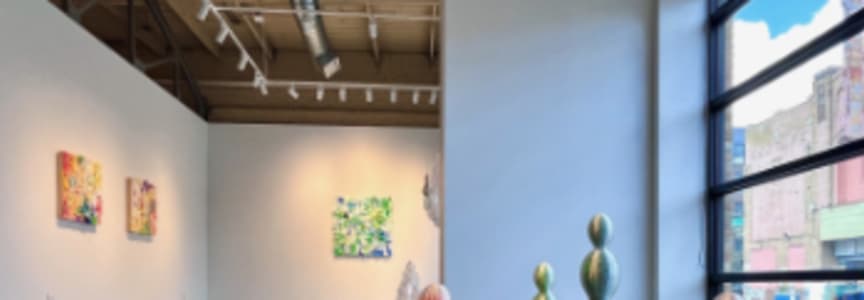 Artist Talk with Aurora Robson at the Center for Visual Art, MSU Denver