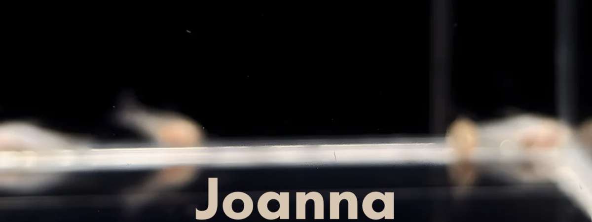 Joanna