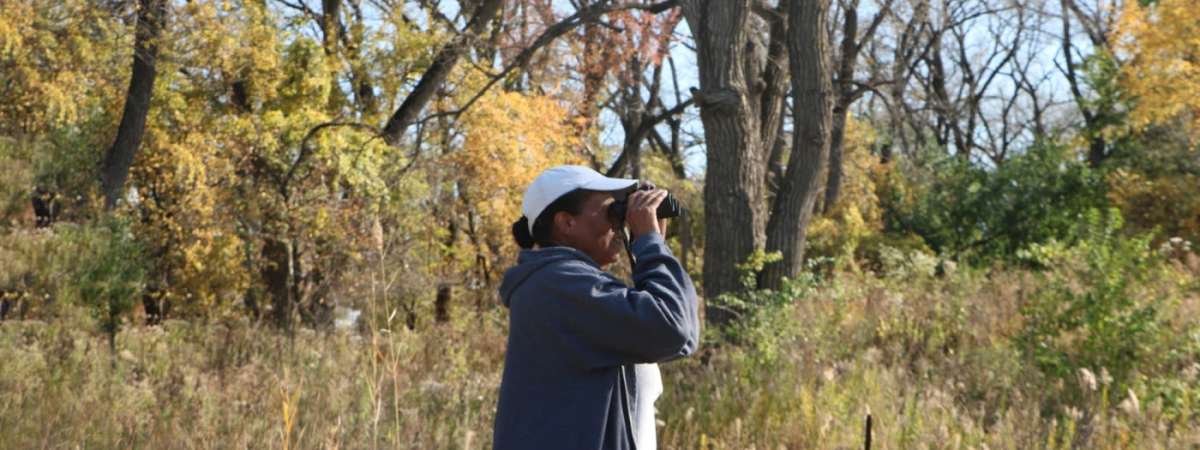 Bird Walk