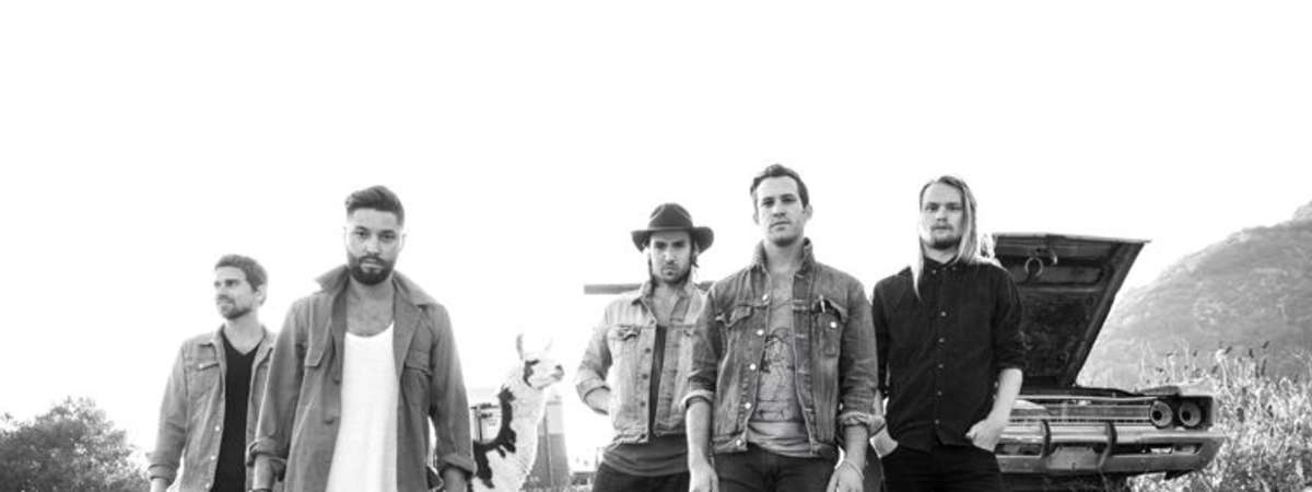 Grizfolk