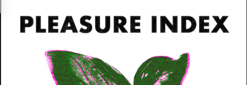 Pleasure Index with DJs Jesse Sandwich & Matte