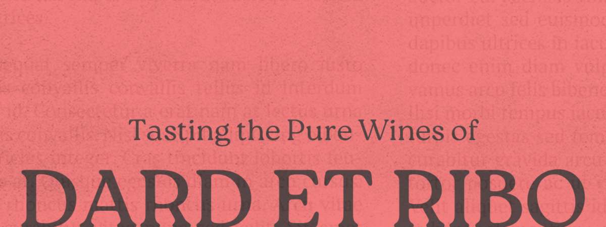 Tasting: Dard et Ribo - Northern Rhône, France