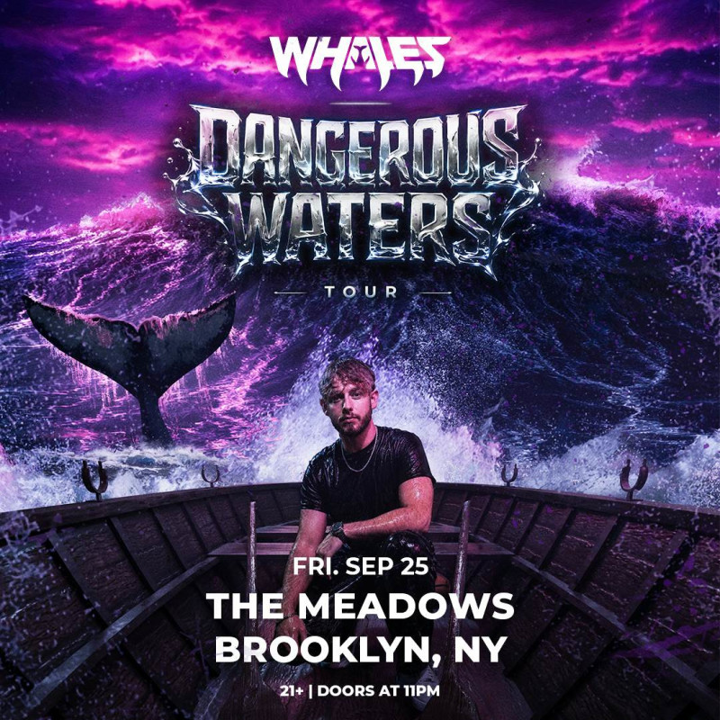 Whales - DANGEROUS WATERS TOUR