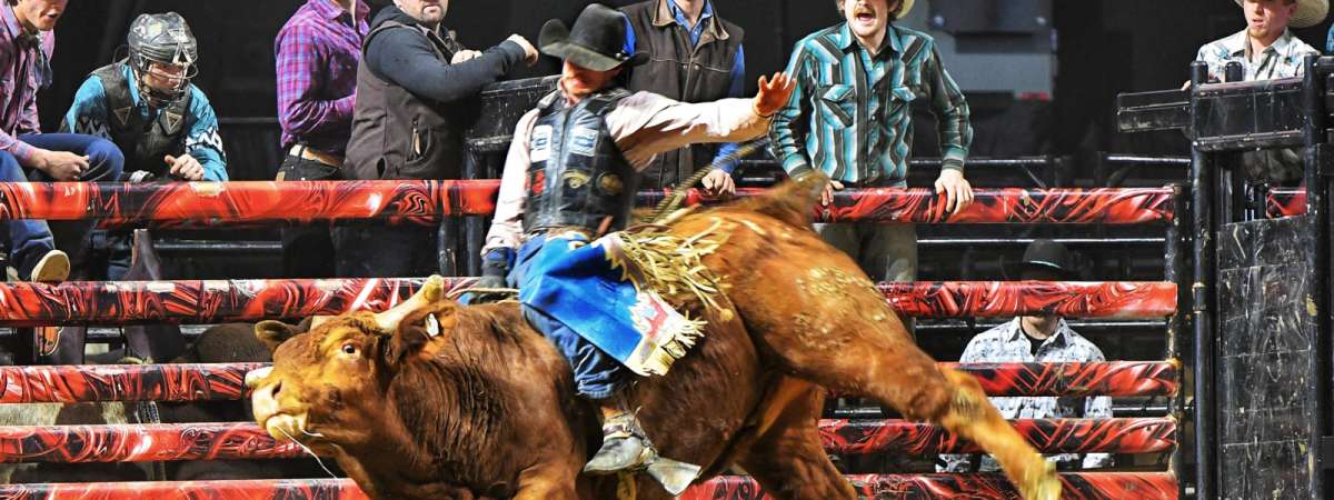 Professional Championship Bull Riders
