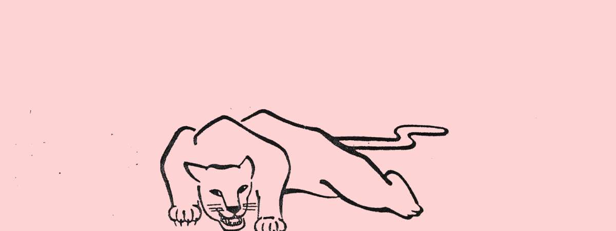 Deadbolt , The Pink Panthers feat Gary Shuffler & Devon Elev