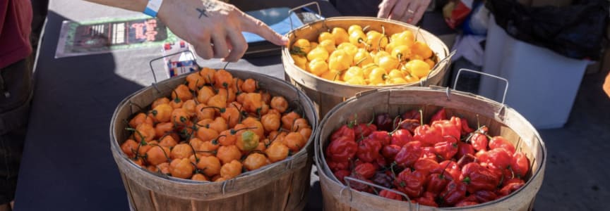 The Austin Chronicle's 36th Annual Hot Sauce Festival