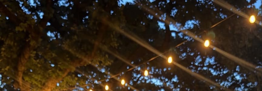 Wine & Wildflowers - a summertime market