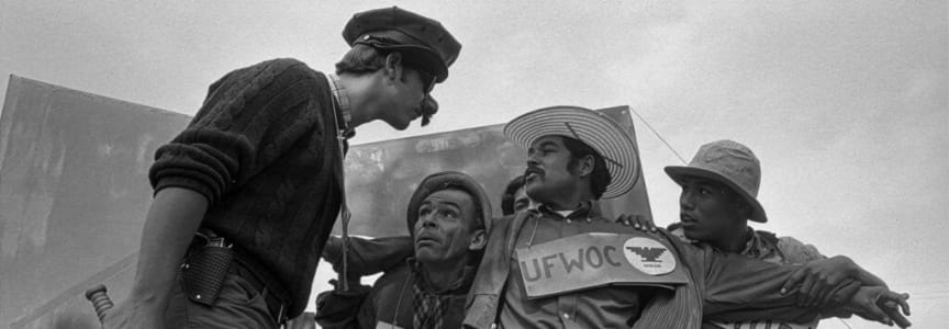 AMERICAN PACHUCO: THE LEGEND OF LUIS VALDEZ
