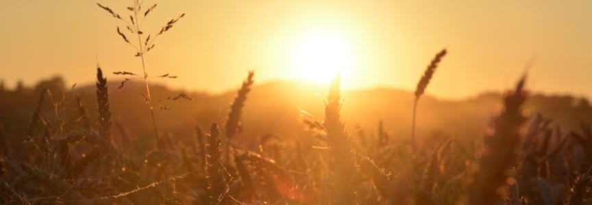 Fall Equinox Celebration