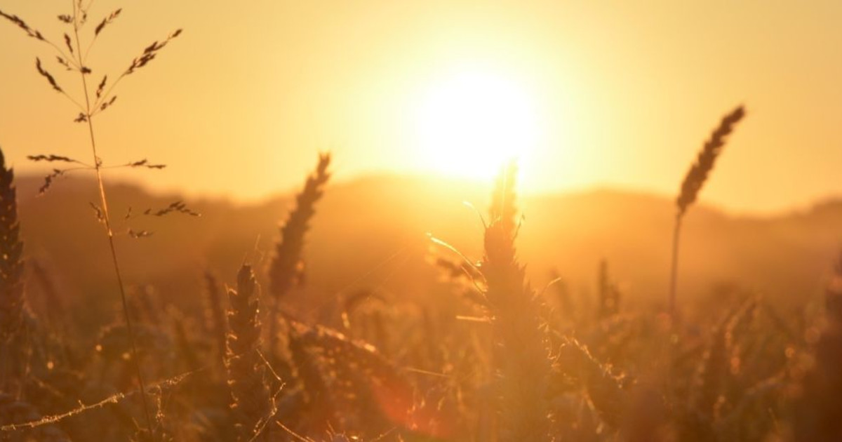 Fall Equinox Celebration