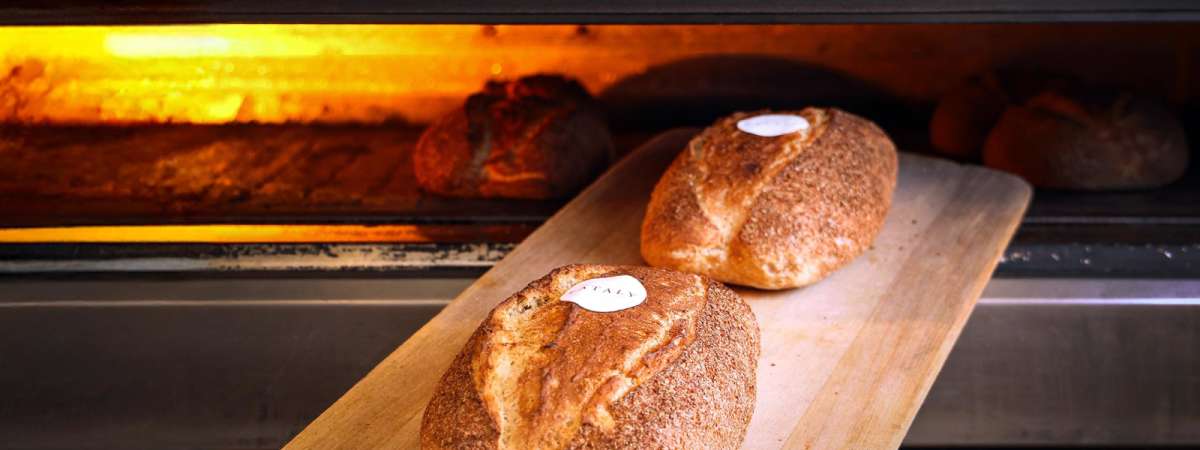 Hands-On Baking 101: Rustic Bread
