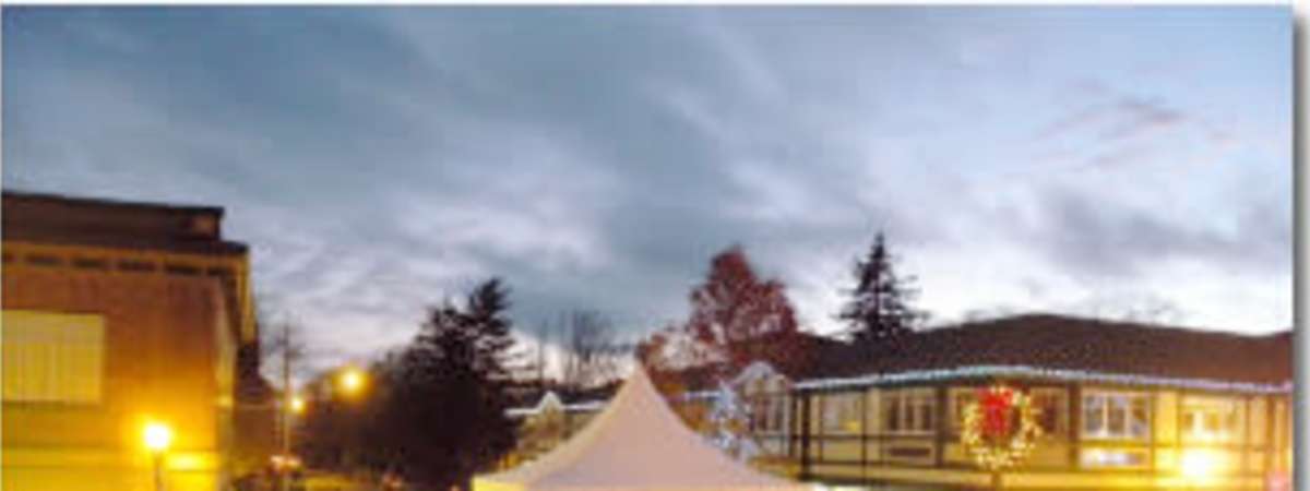 Christmas in Oak Bay