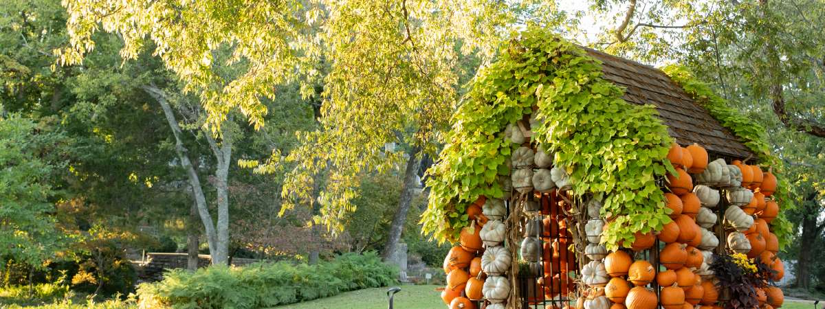 Cheekwood Harvest