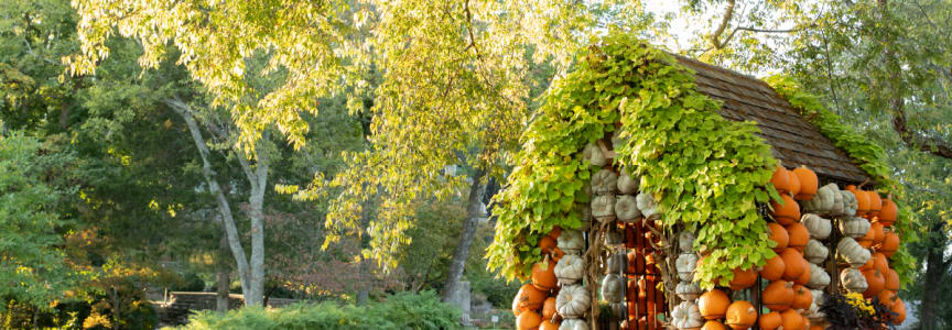 Cheekwood Harvest