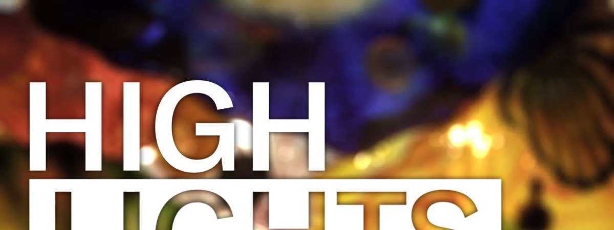 Public Tour: Museum Highlights