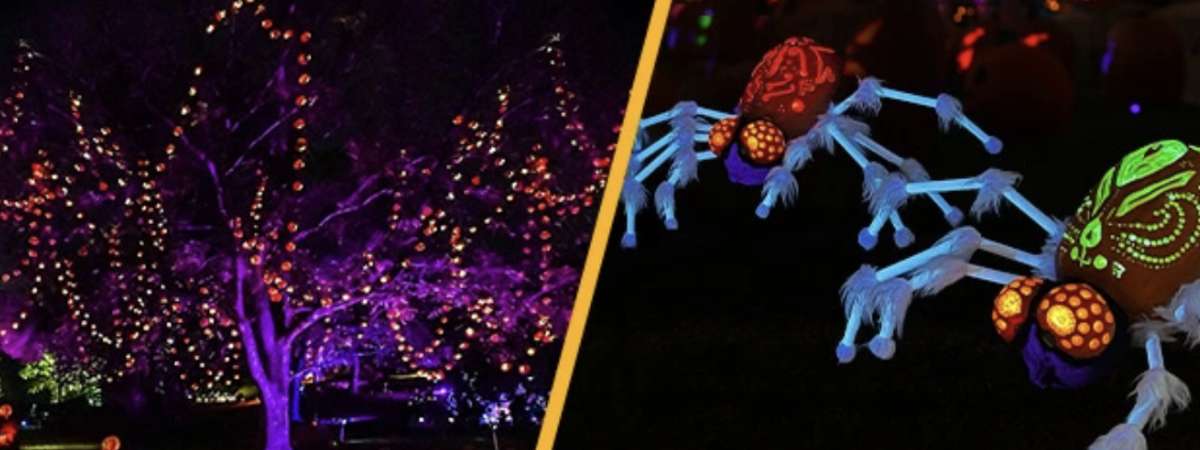 Jack-O'-Lantern Nights
