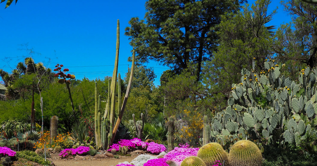 Botanical Bash – A Celebration of Plants and People