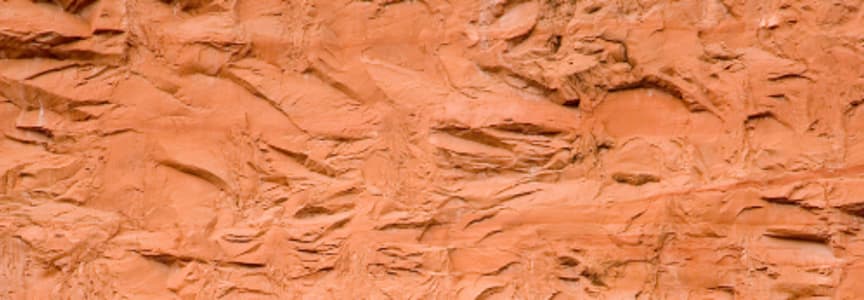 Biology of Creativity