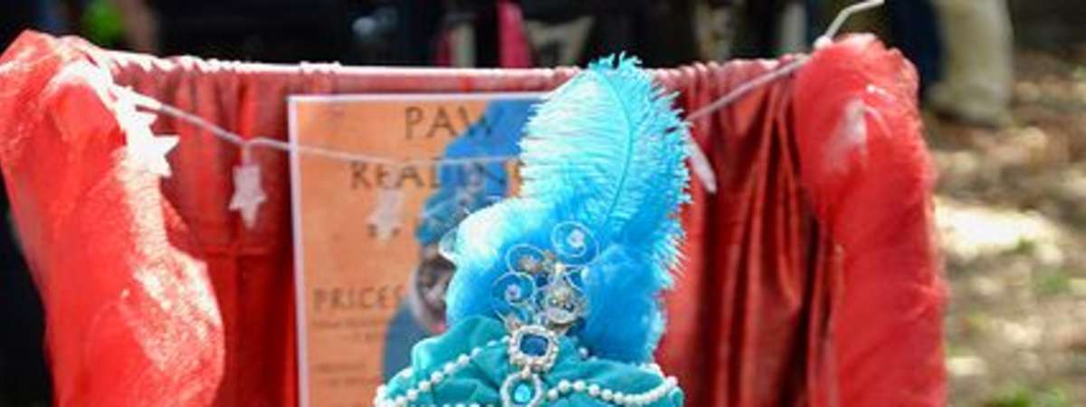 Fort Greene Park's Halloween Fest Market & 28th Annual Great PUPkin Dog Costume Contest