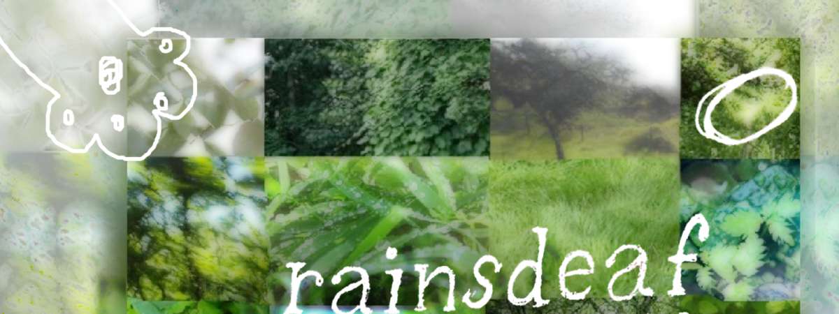 rainsdeaf, purity filter, dj funnypat, radio ginko + bloodlust