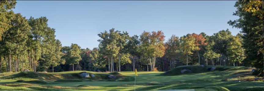 LPGA Tour - FM Championship