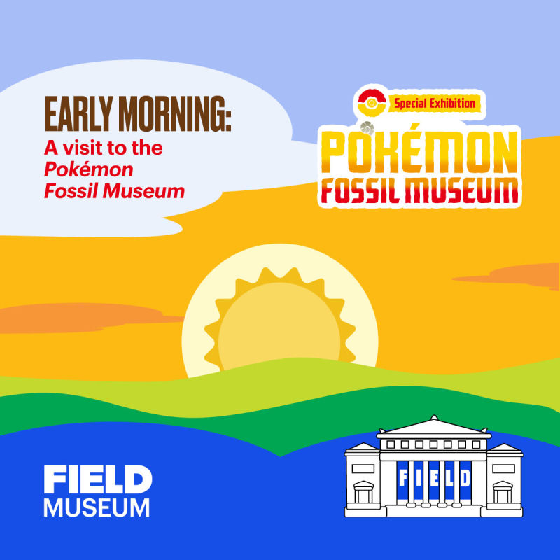 Early Morning: The Pokémon Fossil Museum