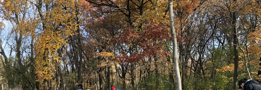 LaBagh Woods Stewardship Workday