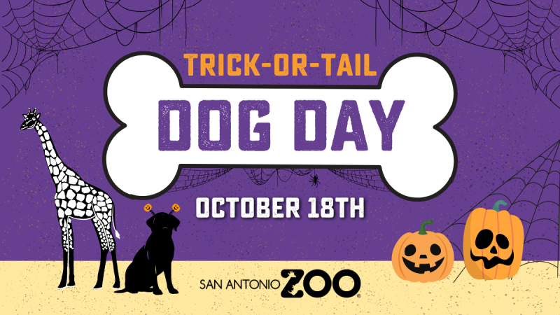 Trick-or-Tail Dog Day