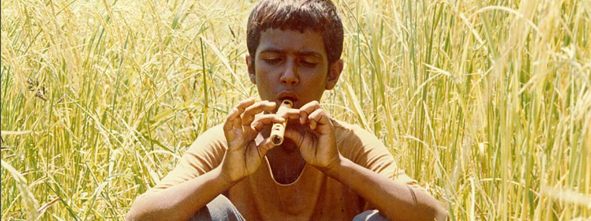 Bashu, the Little Stranger