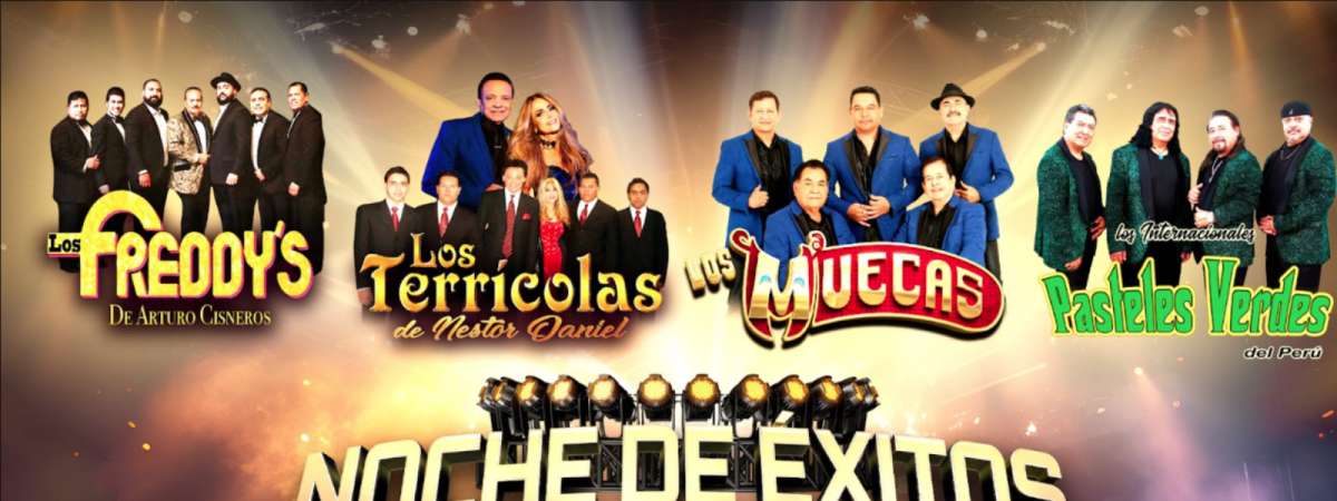 Noche De Exitos #2