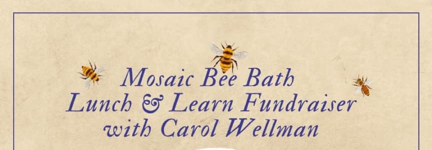 Mosaic Bee Bath Lunch & Learn Fundraiser with Carol Wellman