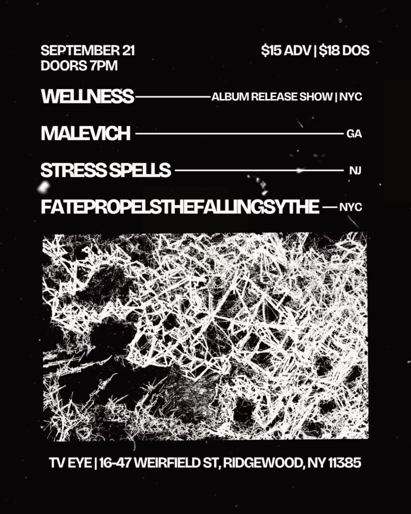 Wellness Album Release Show