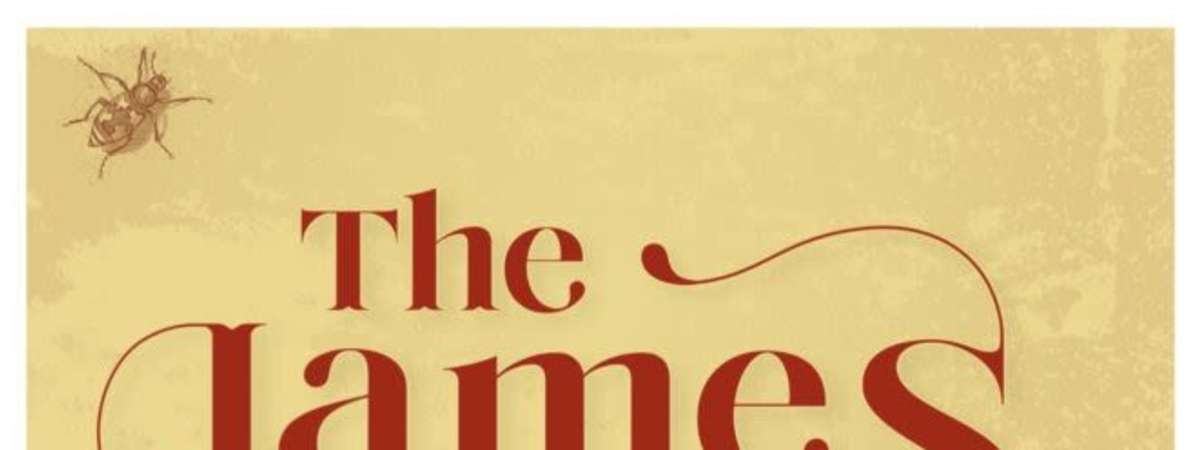 The James Low Irregulars - FRIDAY HH