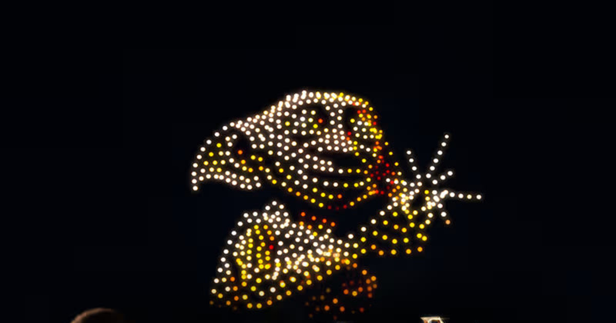 Oracle Drones DroneArt Show: Harry Potter™ in San Francisco at Oracle Park