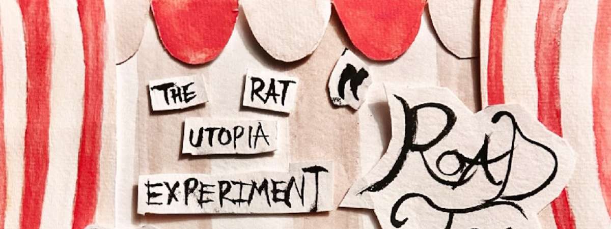The Rat Utopia Experiment
